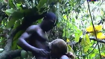 Interracial Encounter With French African Beauty