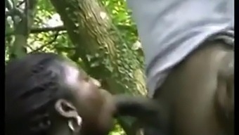 Ebony Babes Get Down And Dirty In African Porn
