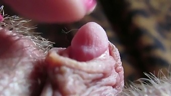 Intense Close-Up Of My Throbbing Large Clitoris During Sex