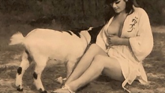 Classic American Pornographic Film Featuring Taboo Subjects Of Female Genitalia And Feces